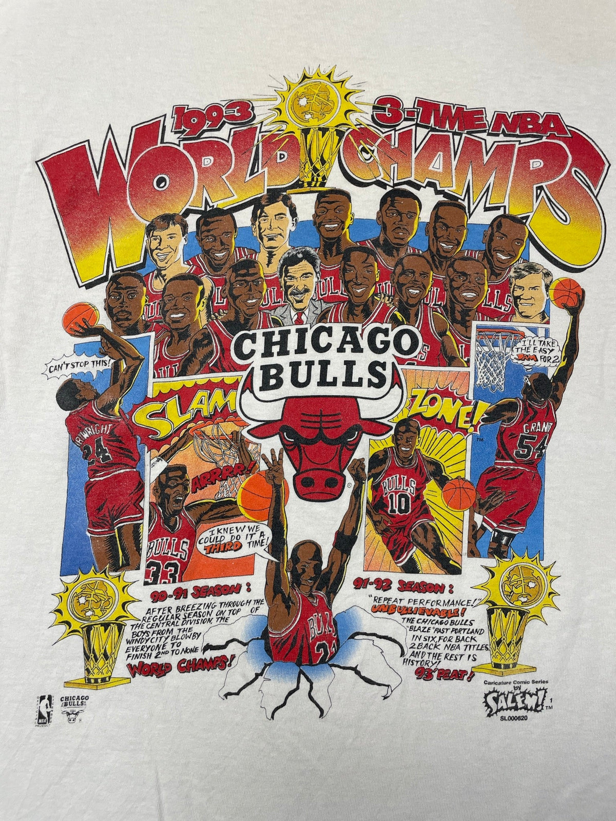 Vintage 1993 Chicago Bulls NBA World Champs T-Shirt 90s